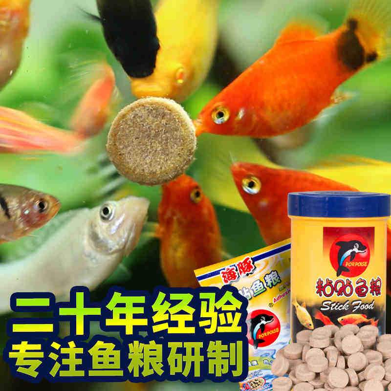 海豚金鱼孔雀鱼食粘贴鱼粮热带观赏饲料螺旋藻增色贴片鱼食小型鱼 掌富宠物用品专营店