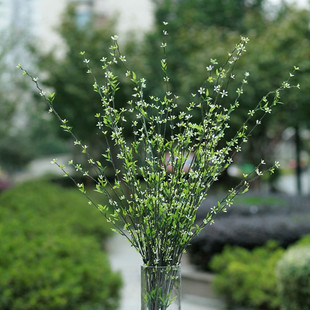 饰摆设 仿真绿植柳树枝柳芽嫩芽飘雪干花假春芽藤蔓藤条客厅落地装