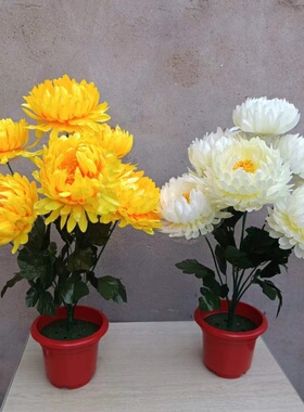 清明节扫墓碑摆放菊花假花祭祀上坟祭奠大朵塑料花把束白黄色菊花