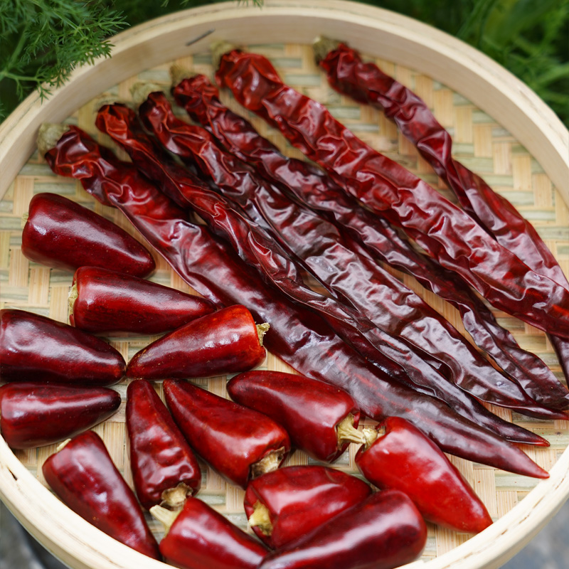 正宗贵州二荆条干辣椒微辣特香