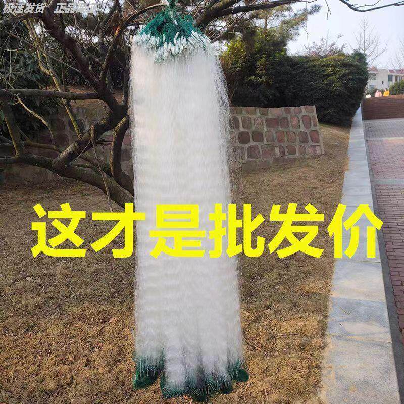 纱网鱼粘丝单层浮三沉挂子白条网
