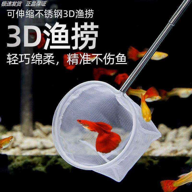 小型抄网鱼捞网兜不锈钢可伸缩加长捞鱼网3d立体渔捞兜观赏鱼小鱼