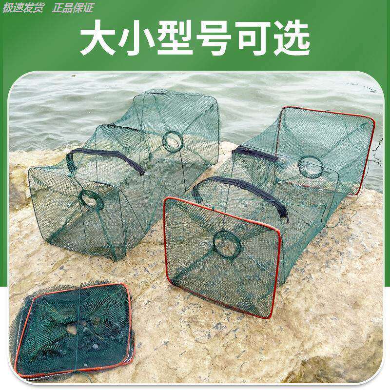 钓龙虾网小虾笼捕鱼笼小龙虾笼折叠虾网鱼笼虾篓渔网扑鱼网