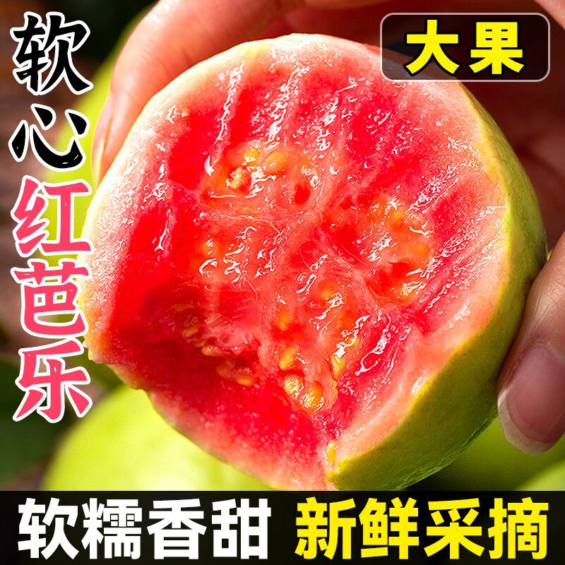 广西奶油芭乐软心红芭乐番石榴