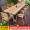 Vertical pattern chair 8 chairs+220x90CM teak color large board long table extension