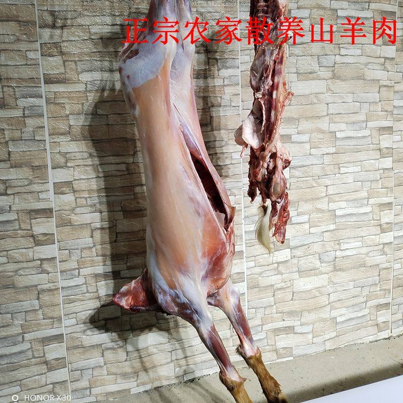 黄牛哥农家散养清真山羊肉新鲜