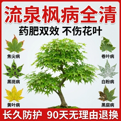 流泉枫营养液防黄焦叶杀菌促长