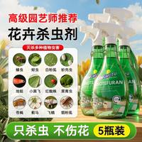 Plant insecticides, indoor succulent and flower special medicine, flowerpot small black fly, aphids, scale insects, soil potted plants thumbnail 4