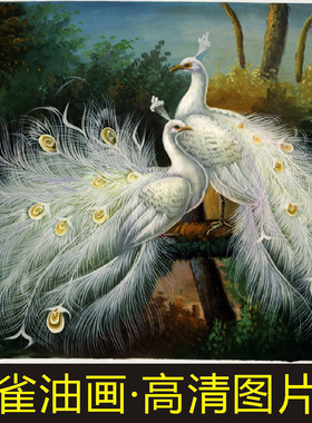 高清白色孔雀名画花鸟动物油画十字绣装饰画jpg格式tif图片素材B