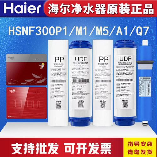 海尔施特劳斯净水器机HSNF300B1/P8/Q7/M1/M5/A1智净滤芯