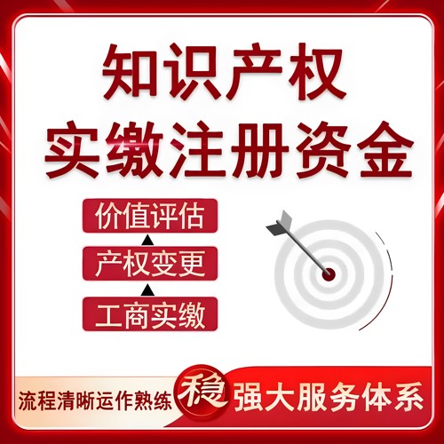 全网代办知产实缴作价出资公示