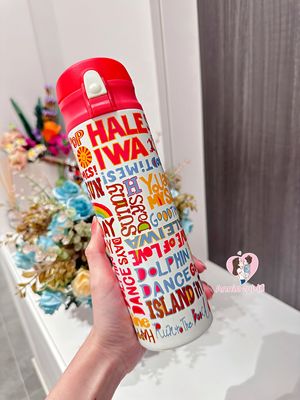 超值！Haleiwa日本本土限定成人儿童不锈钢直饮保温杯车载杯500ml