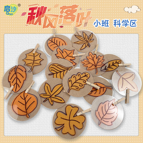 启汐季节主题秋叶雪花树叶