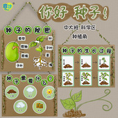 幼儿园手工制作材料半成品玩教具自制区域科学区植物区种子装 饰