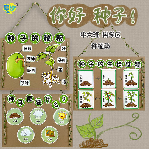 启汐科学种植区认识种子生产过程