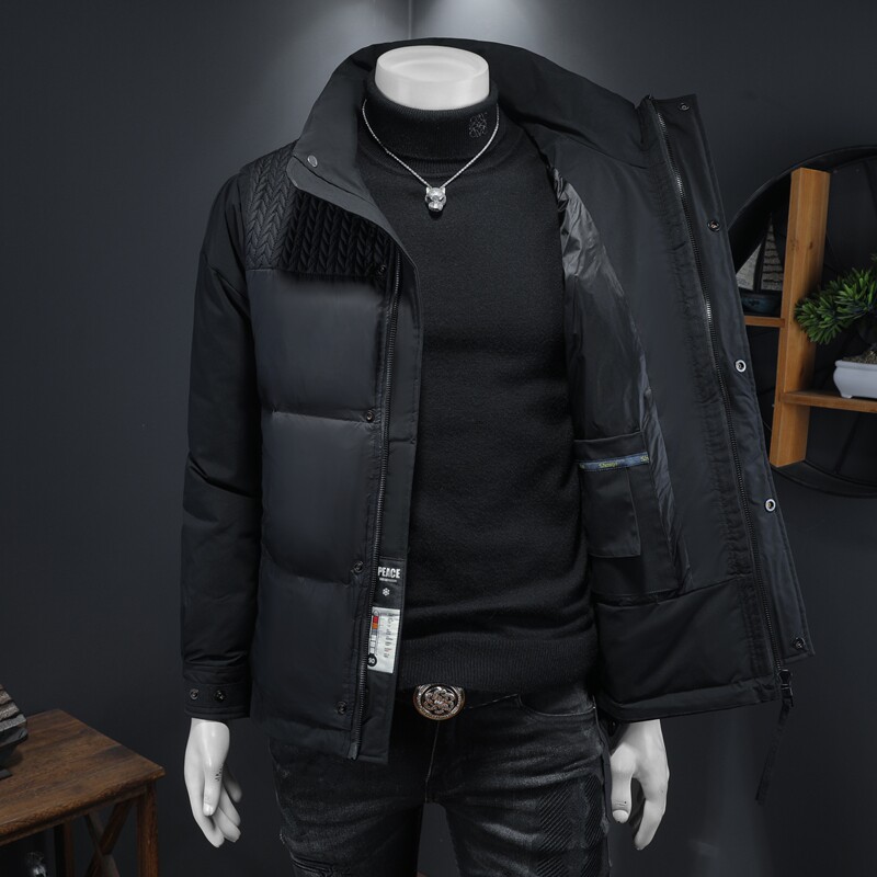 冬季白鸭绒羽绒服男士潮流时尚休闲外套钱塘6025Y101P280,男装羽绒服,钱塘6025