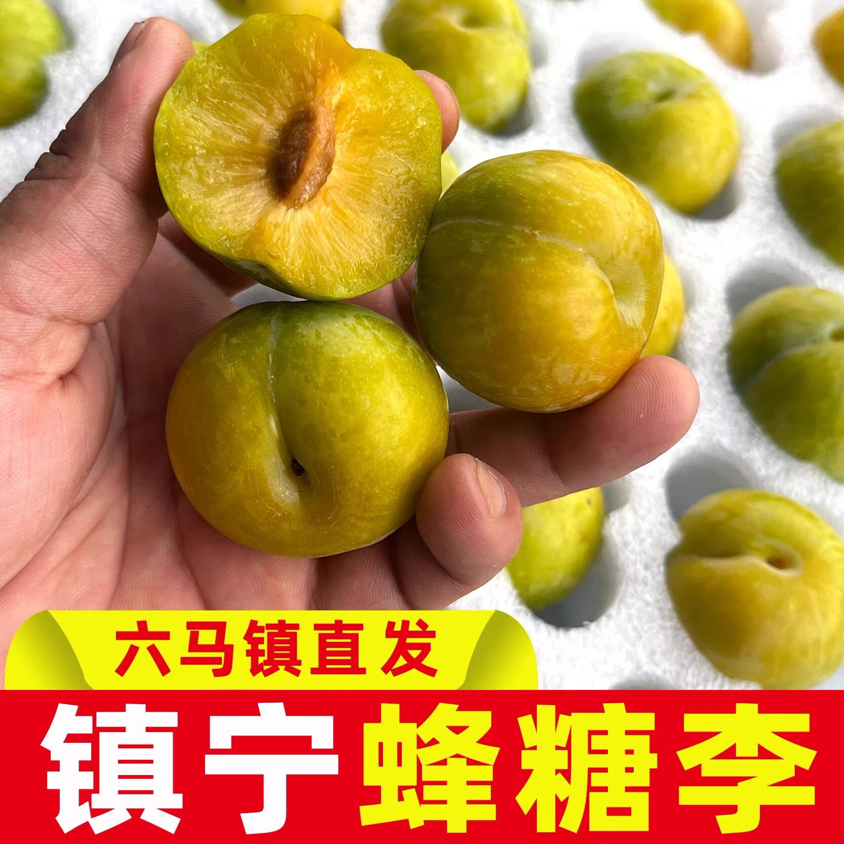 正宗蜂糖李镇宁六马直发礼盒装包邮【2026年当季新品顺丰空运】