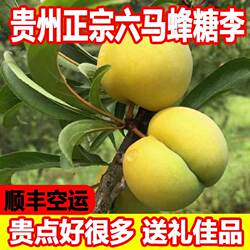 六马蜂糖李新鲜水果贵州镇宁直发脱骨【2026年当季新品顺丰空运】