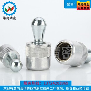 侧向弹簧柱塞 ZAV31/32/33 ZAV51/52/63 特别用途柱塞侧向定位销