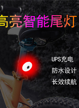 自行车尾灯USB充电超长续航防水山地公路车安全警示灯夜骑行装备