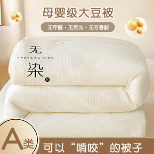 全棉大豆被棉被春秋被四季被冬季加厚被保暖单双人子母被九孔被芯
