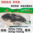 包邮 恒船速冻笋壳鱼冷冻水产半成品虎头鱼呆子鱼700g 1000g多省