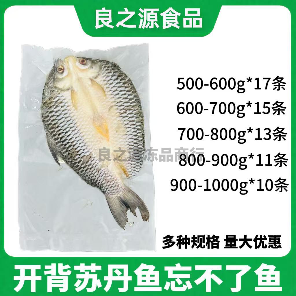 马来西亚忘不了鱼苏丹鱼整箱商用
