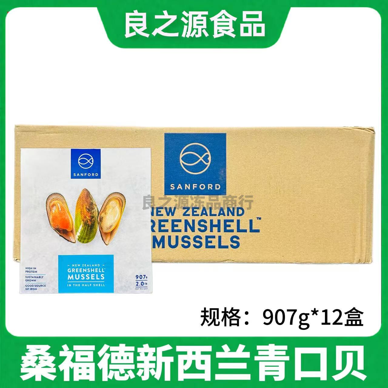 新西兰青口贝桑福德原装进口整箱