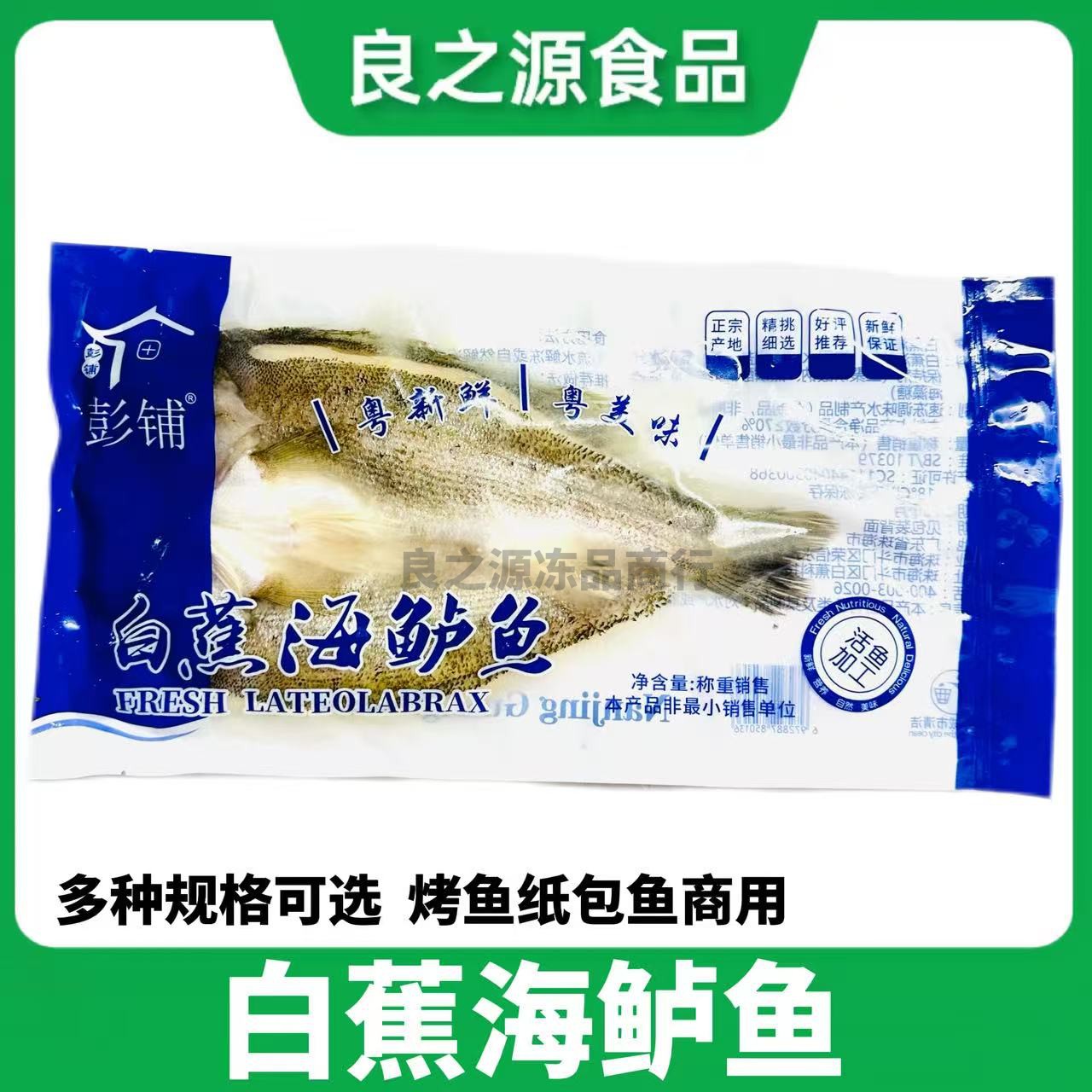 白蕉海鲈鱼开背腌制七星鲈鱼商用