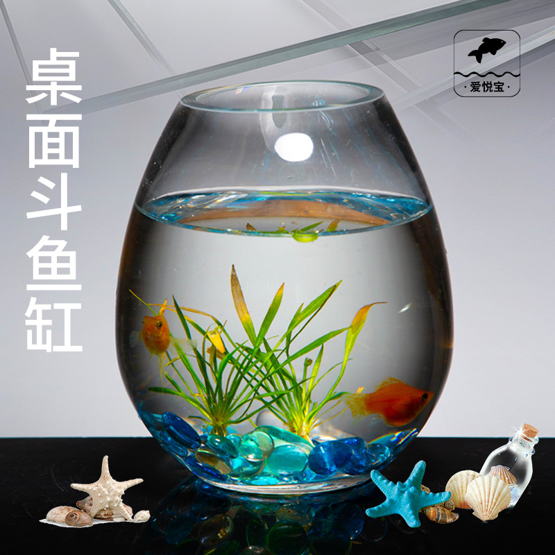 爱悦宝桌面玻璃都鱼缸鱼高清透亮