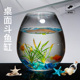 2025新款 饰缸 生态鱼缸乌龟饲养缸造景迷你玻璃小水族箱客厅摆件装