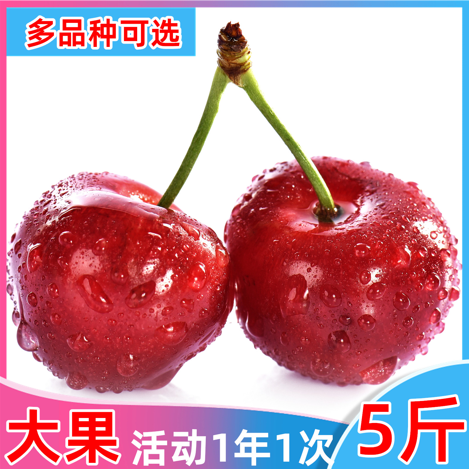 烟台大樱桃5斤美早品种可选现摘