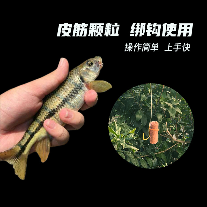 浓腥皮筋颗粒溪流钓石斑鱼鲫鱼