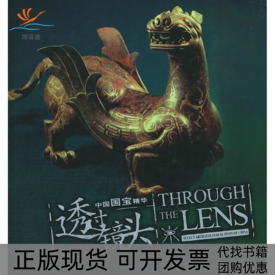 【正版书包邮】中国国宝精华透过镜头书系王露大象出版社