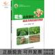 花生栽培与病虫害绿色防控图谱肖涛中国农业科学技术出版 包邮 书 社 正版