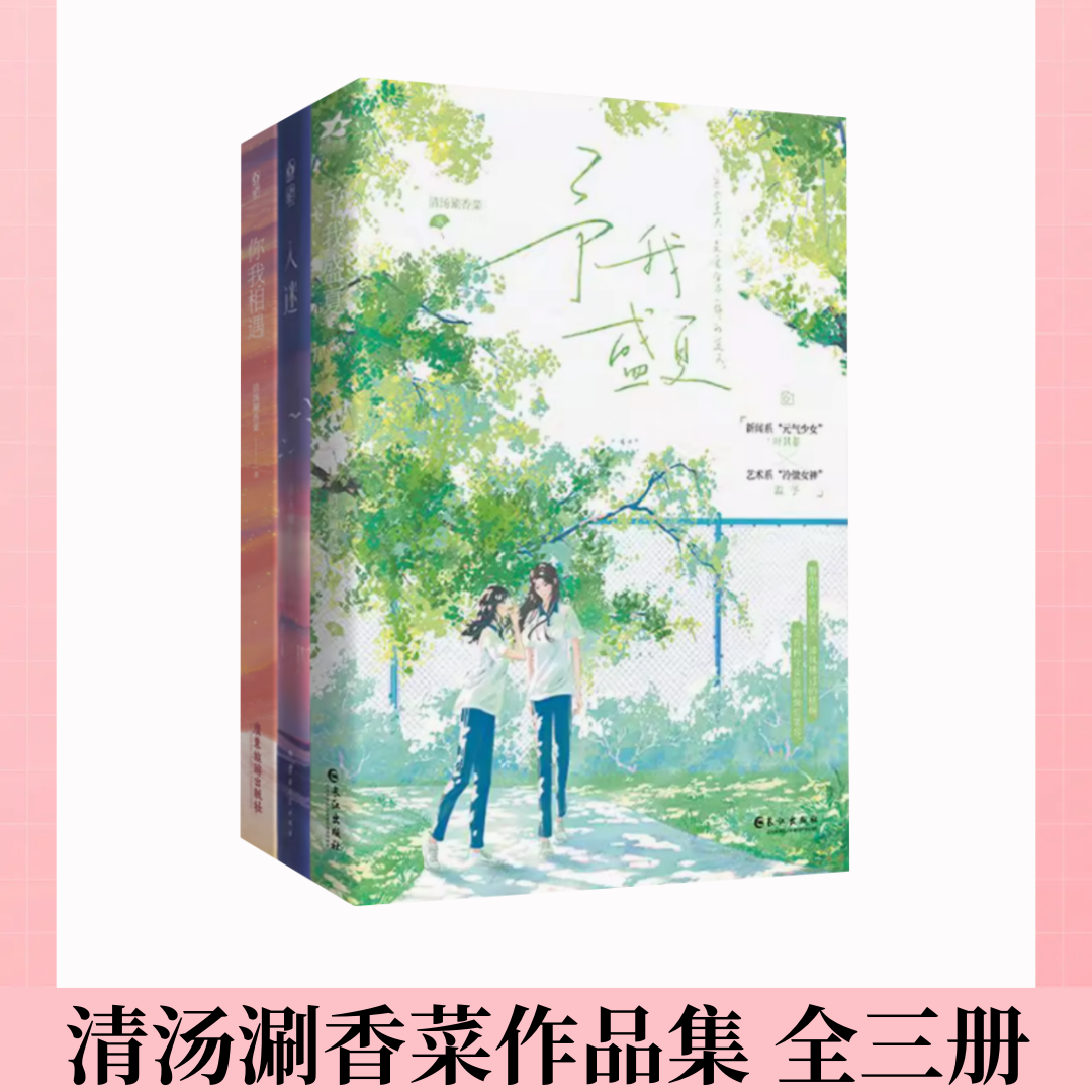 【清汤涮香菜作品集 全三册】予我盛夏+你我相遇+入迷 文学书籍青春小说 你相爱为民除害 欢喜冤家都市双女主小说