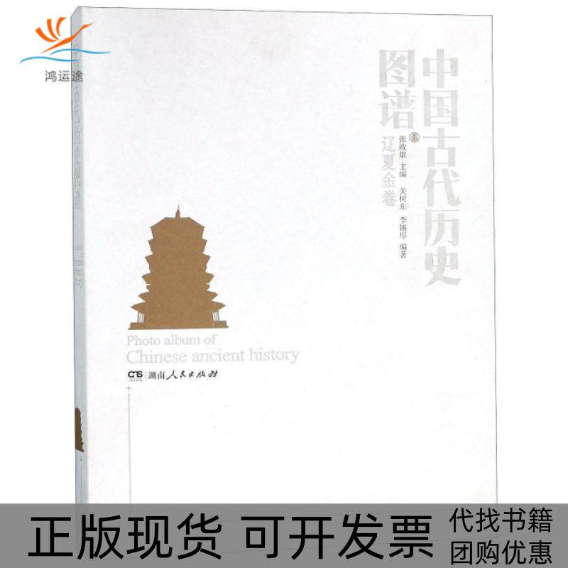 【正版书包邮】中国古代历史图谱辽夏金卷精关树东李锡厚|总张政烺湖南人民
