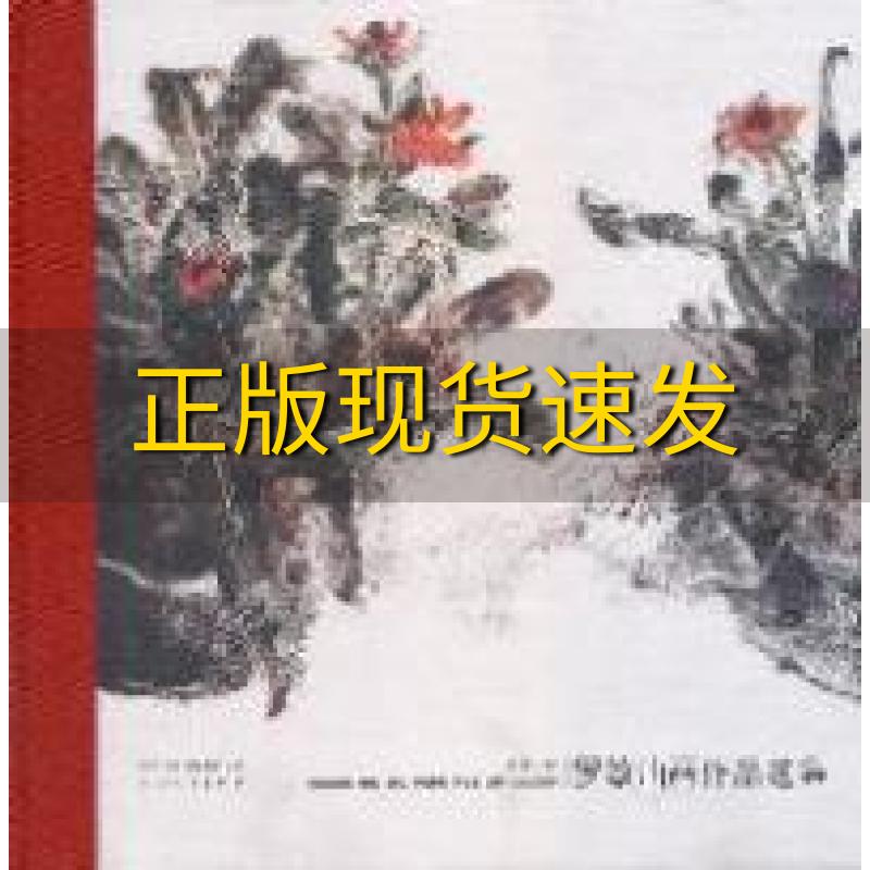 【正版书包邮】罗敏油画作品选集罗敏河北教育出版社