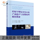 妊娠早期复杂先心病产前超声与显微病理解剖图谱杨水华田晓先韦红卫科学出版 新书 社 正版