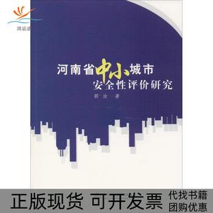 河南省中小城市安全评研究郭汝水利水电出版 包邮 书 社 正版