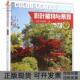 正版 书 包邮 彩叶植物与景观王铖中国林业出版 社