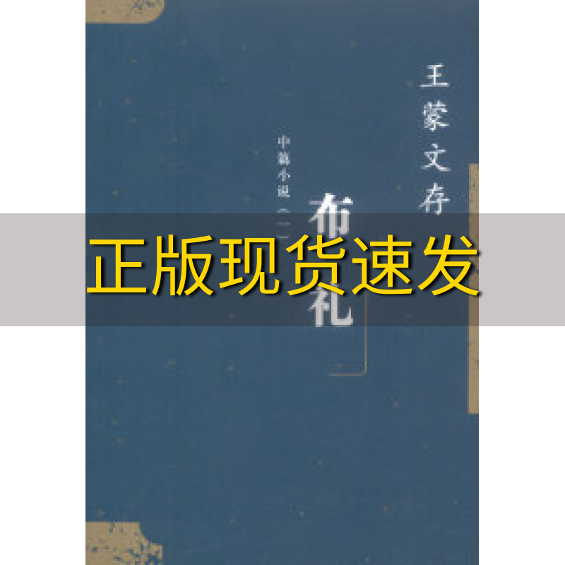 【正版书包邮】王蒙文存9中篇小说1布礼王蒙人民文学出版社