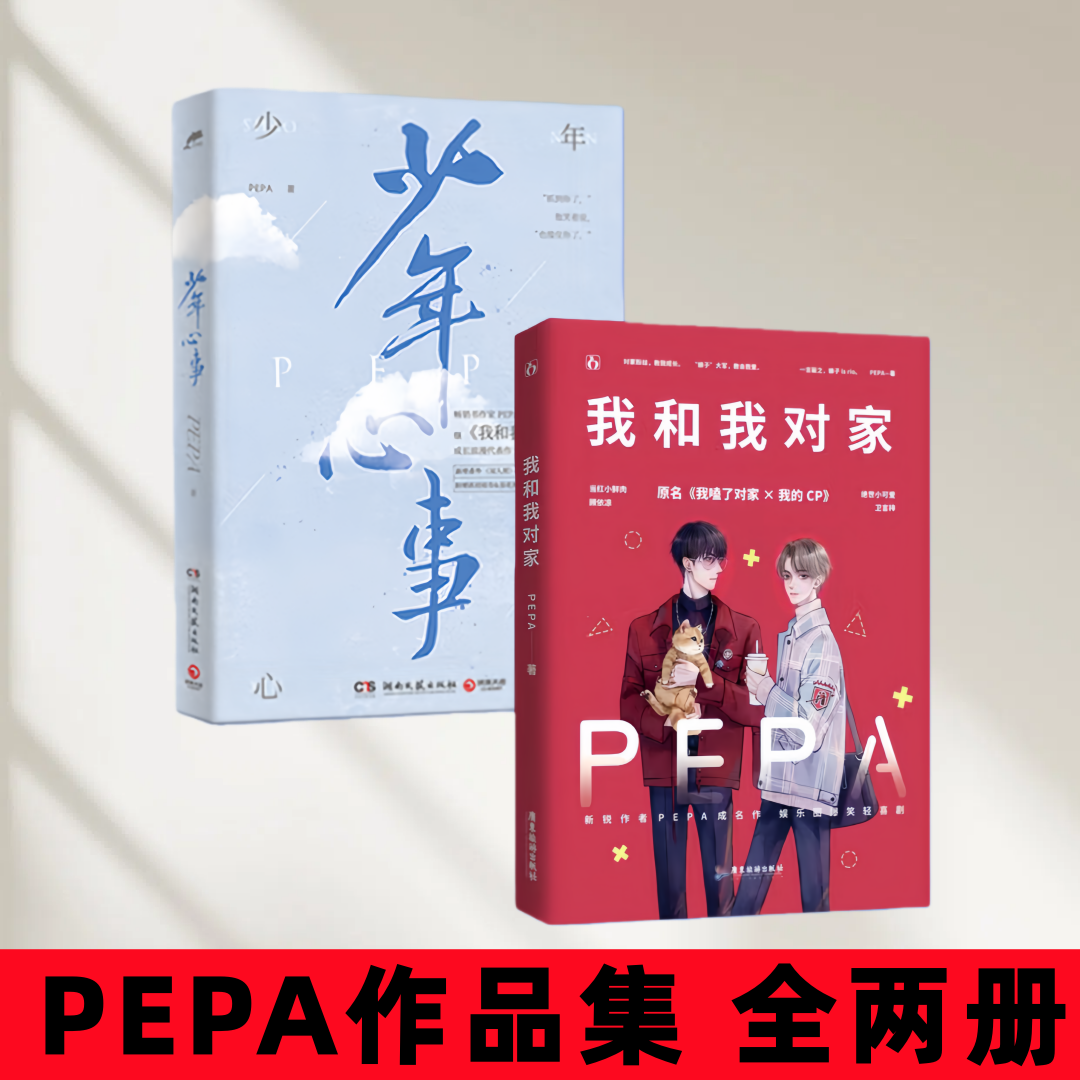 我和我对家少年心事爆笑轻喜剧