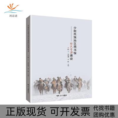 【正版书包邮】少数民族地区图书馆特建设楠丁张瑞卿春艳远方出版社