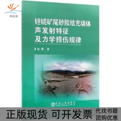 【正版书包邮】钽铌矿尾砂胶结充填体声发特征及力学损伤规律赵康冶金工业出版社