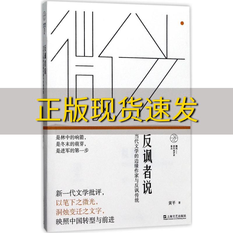 【正版书包邮】反讽者说当代文学的边缘作家与反讽传统黄平上海文艺出版社