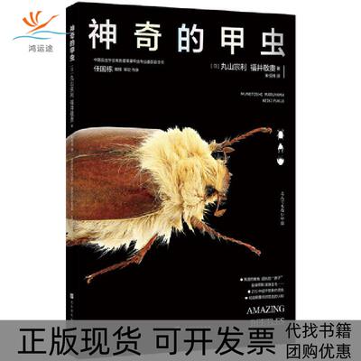 【正版书包邮】的甲虫丸山宗利福井敬贵北京时代华文书局