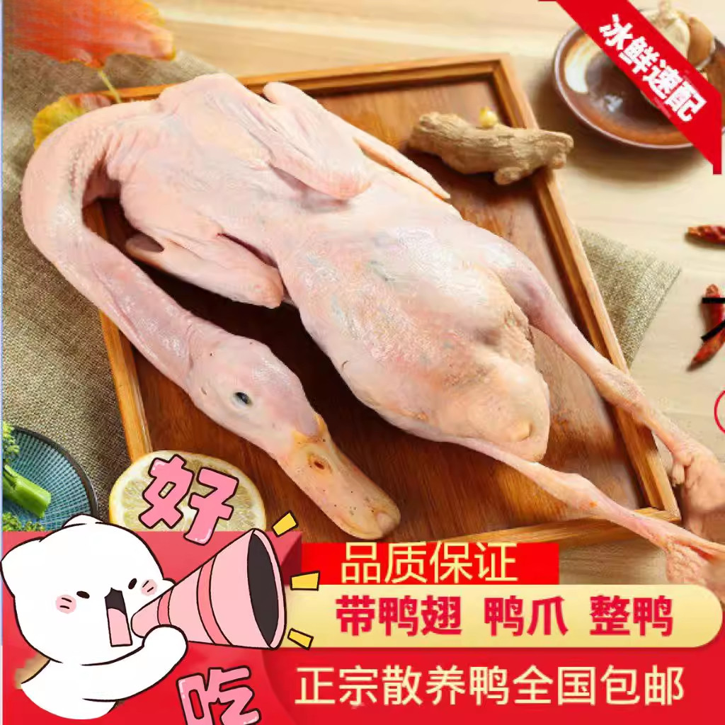 农家散养土鸭子麻鸭草鸭老鸭水鸭子肉整只活体现杀笨鸭