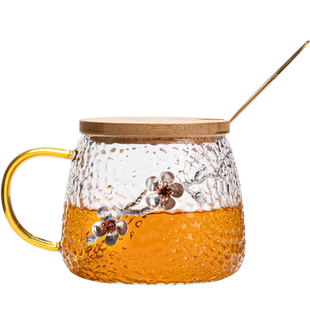 耐热日式锤纹玻璃杯带把手家用水杯子喝茶杯咖啡杯带盖带勺早餐杯