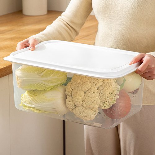 冰箱收纳盒食品级大容量保鲜密封盒厨房蔬菜水果鸡蛋储物整理神器